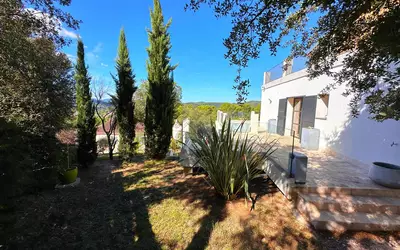 Vidauban (83550)