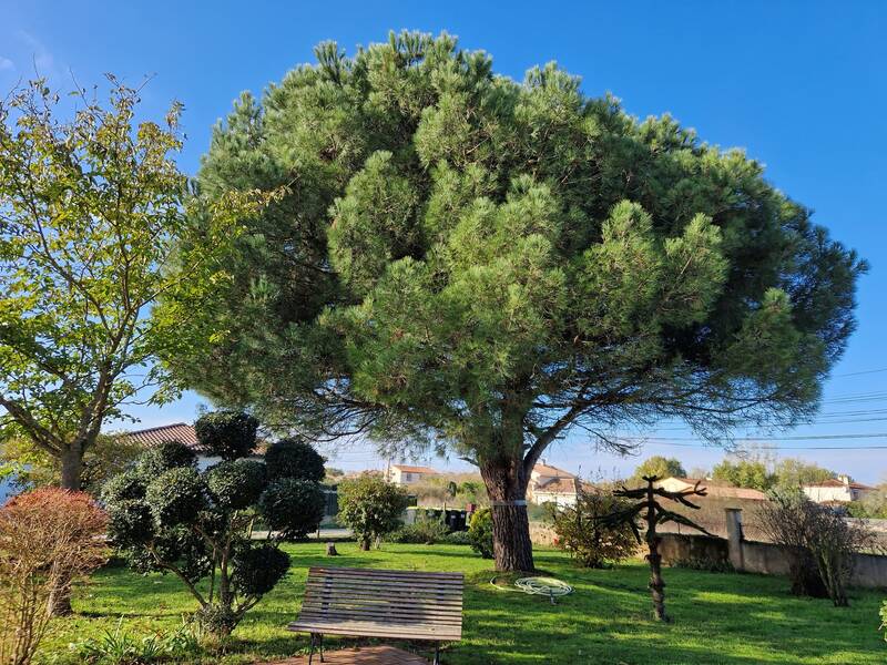Cugnaux (31270)
