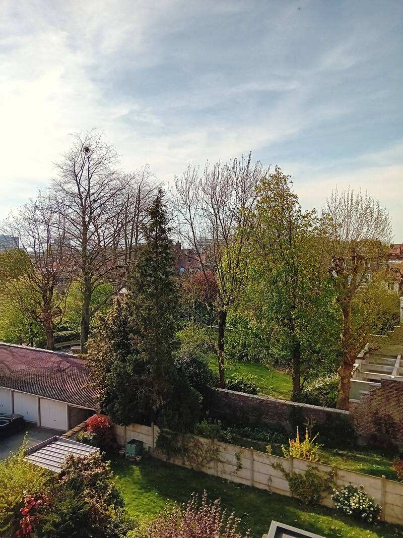 La Madeleine (59110)