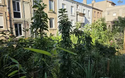 Saint-Étienne (42000)