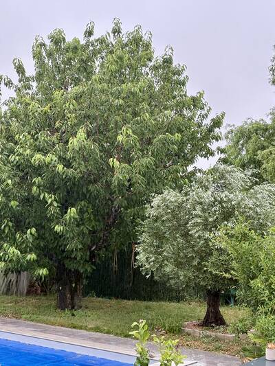 Vente maison 5 pièces Belberaud (31450)