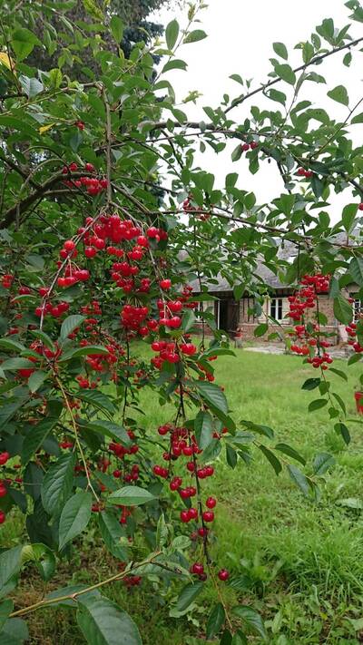 Vente maison 6 pièces Avricourt (60310)