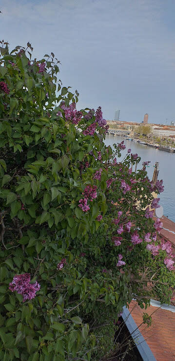 La Mulatière/Limite Lyon