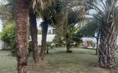 La Baule-Escoublac (44500)
