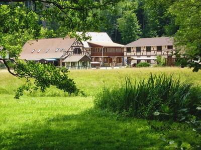 Vente maison 6 pièces Wangenbourg-Engenthal (67710)