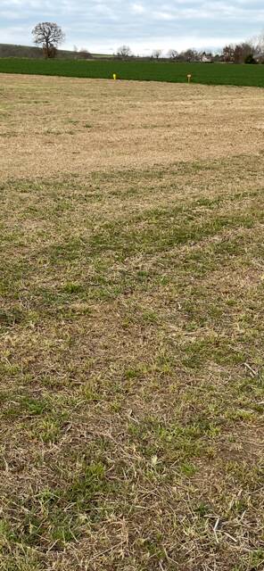 , 3 Parcelles À Partir De  800M²,  Pampelonne (81190)