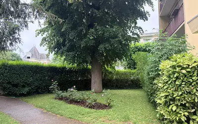 Ville-D'avray (92410)