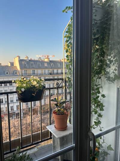 Location appartement studio Paris 8e