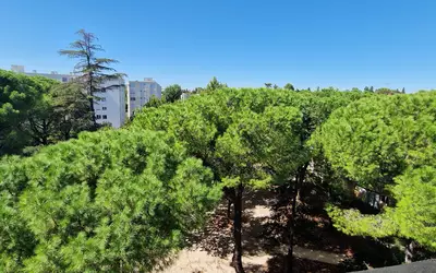 Montpellier (34000)