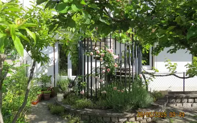 Clermont-Ferrand (63000)