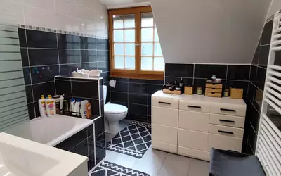 Gonesse (95500)