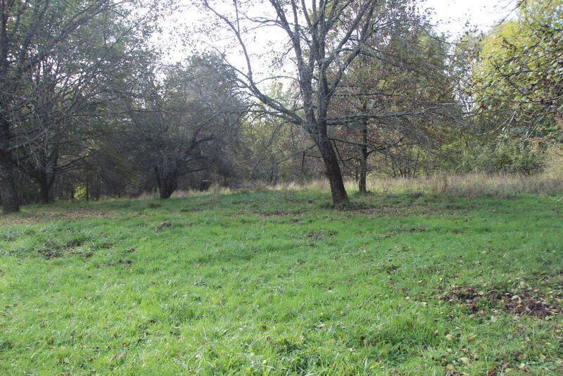 Saint-Astier (24110)