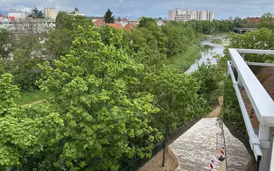 Mulhouse (68100)