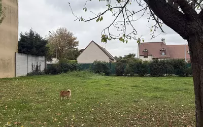 Chevilly-Larue (94550)