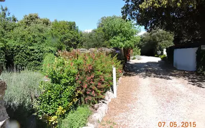 Saint-Jean-Du-Pin (30140)