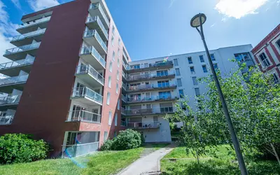 Lille (59000)
