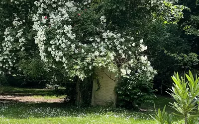 Domaine Proche De Fontainebleau