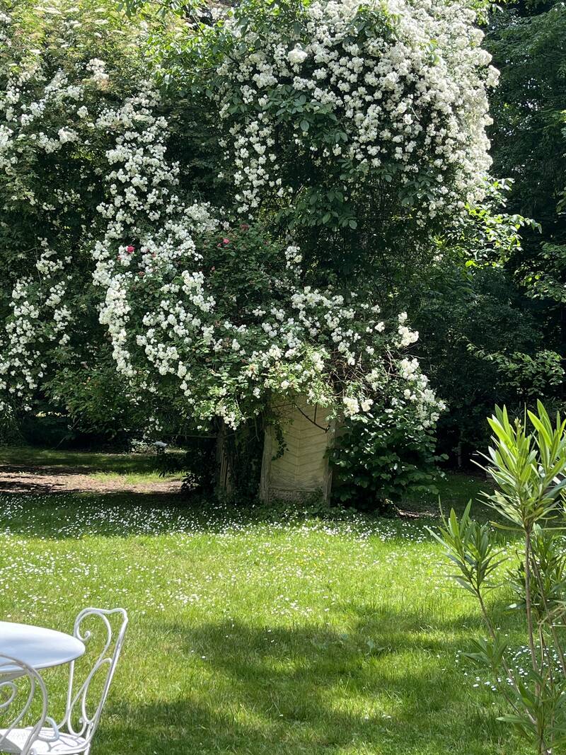 Domaine Proche De Fontainebleau