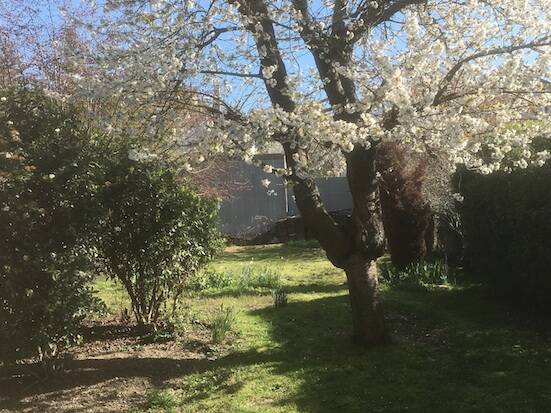 Rueil-Malmaison (92500)