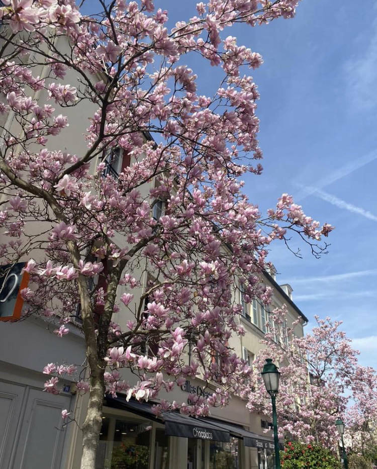 Rueil-Malmaison (92500)