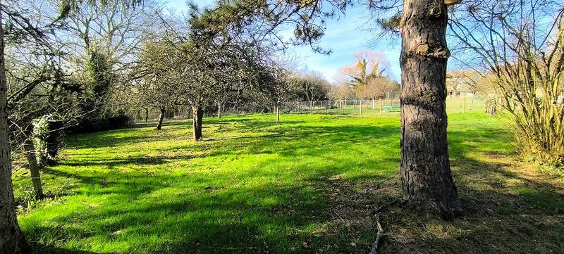 Coulommiers (77120)