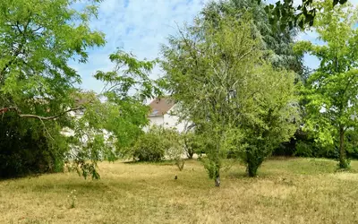 Châteauneuf-Sur-Loire (45110)