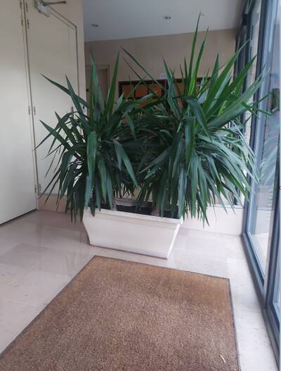 Location appartement studio Bourg-la-Reine (92340)