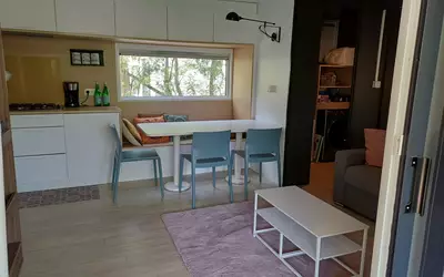 Sanguinet (40460)