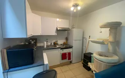 Bougival (78380)
