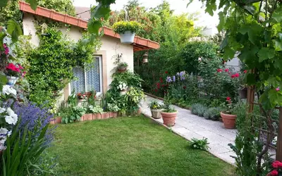 Colombes (92700)