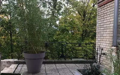 Espace Atypique Rare Duplex Seine