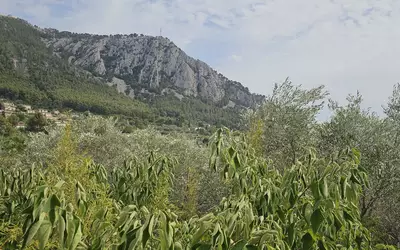 Toulon (83000)