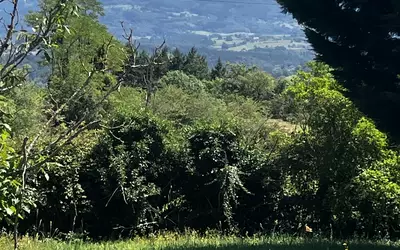 Courpière (63120)