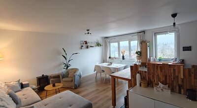 Vente appartement 3 pièces Villeneuve-d'Ascq (59)