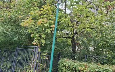 Rosny-Sous-Bois (93110)