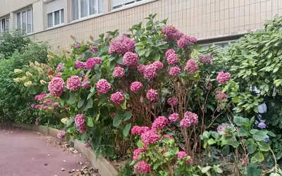 Paris 15E
