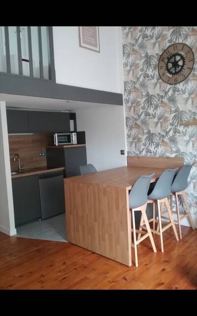 Location appartement 2 pièces Saint-Étienne (42)
