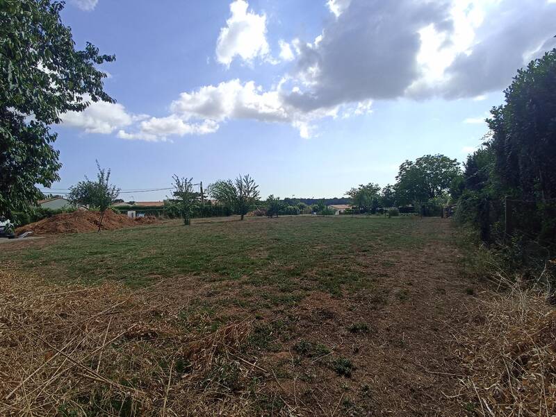 Le Champ-Saint-Père (85540)
