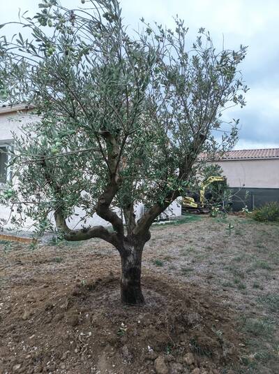 Vente maison 4 pièces Limoux (11300)