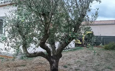 Limoux (11300)