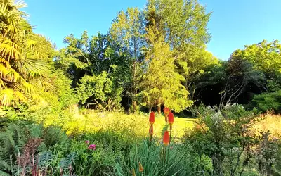 Moëlan-Sur-Mer (29350)