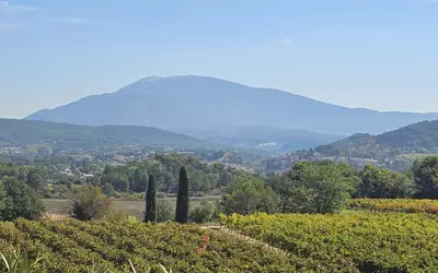 Vaison-La-Romaine (84110)