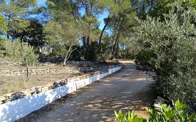 Nîmes (30000)