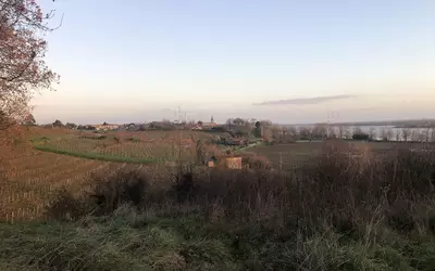 Bourg (33710)