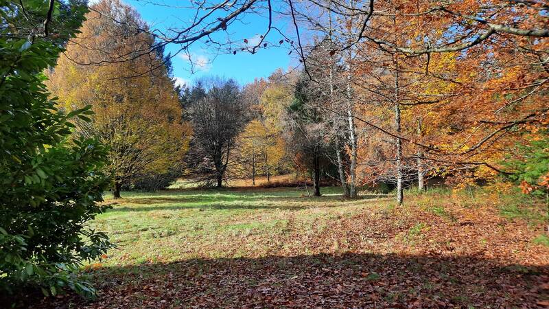 Rougegoutte (90200)