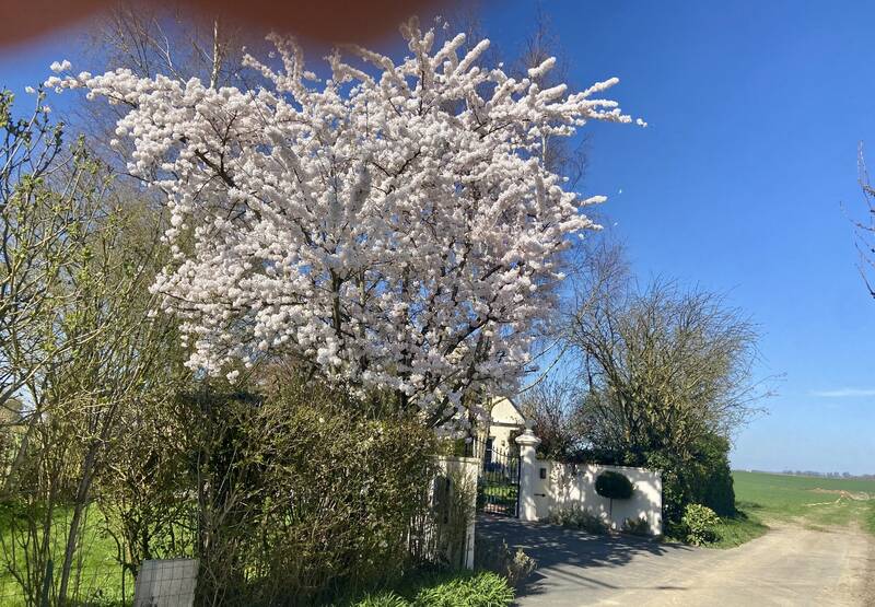 Martainville-Épreville