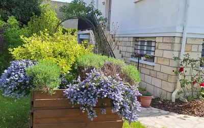 Nanterre (92000)