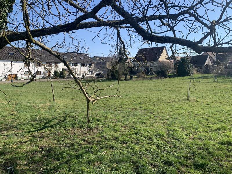 Dimbsthal (67440)