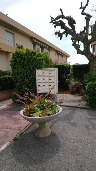 Location appartement studio Antibes (06)