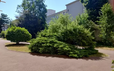 Villeurbanne (69100)